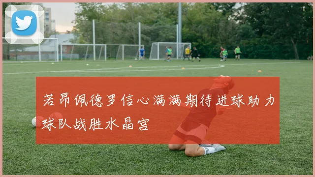 若昂佩德罗信心满满期待进球助力球队战胜水晶宫
