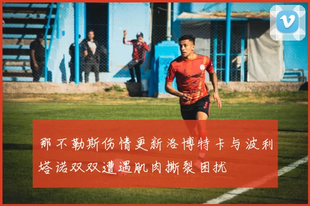 那不勒斯伤情更新洛博特卡与波利塔诺双双遭遇肌肉撕裂困扰