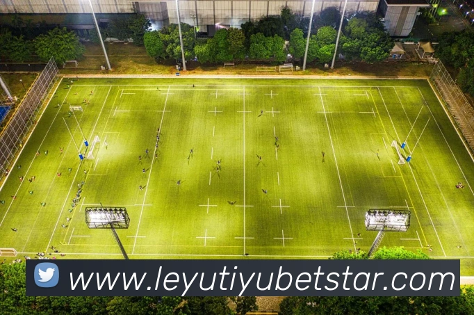 乐鱼体育平台生态图