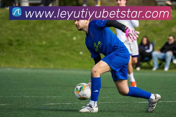 乐鱼体育APP 封面图